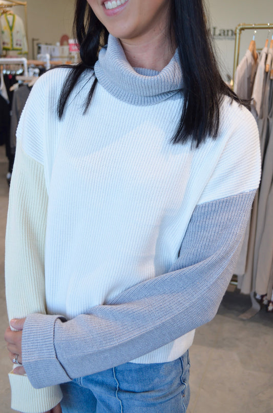 Elan The Neutral Block Turtleneck