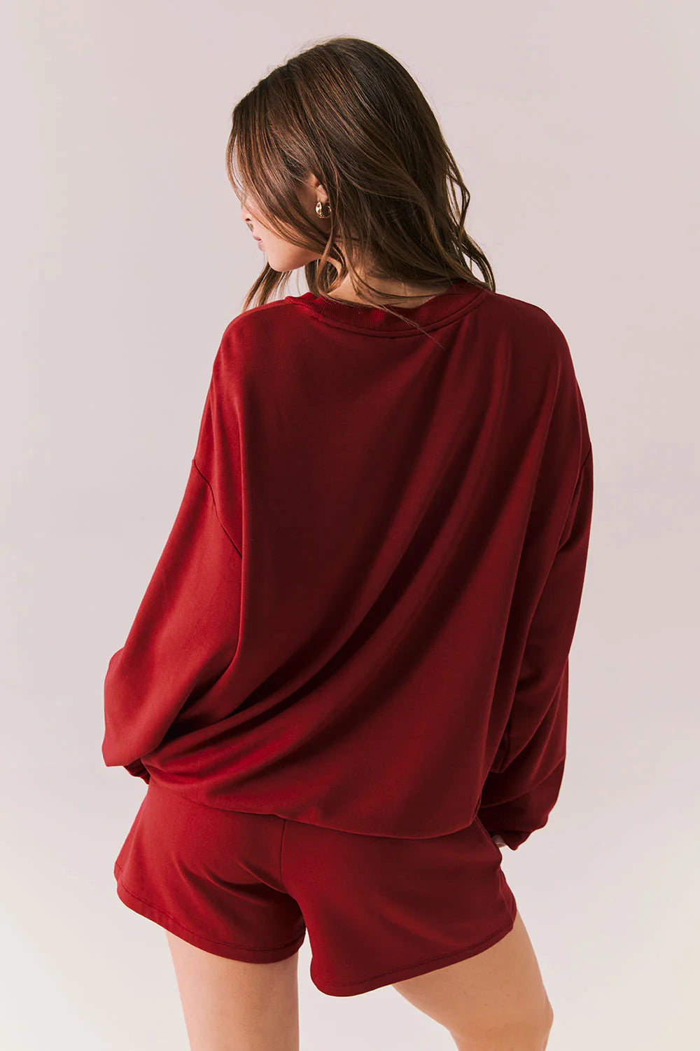Chaser | Cornell Pullover Back