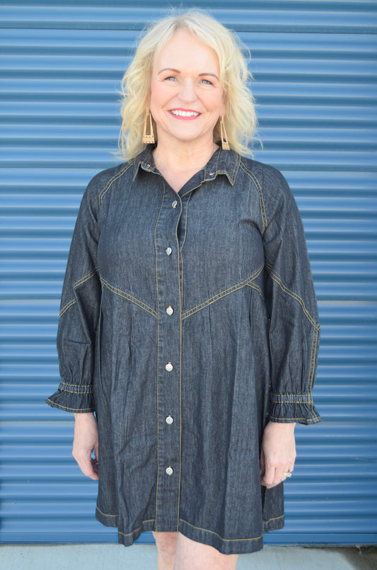 Elan Button Down Denim Dress