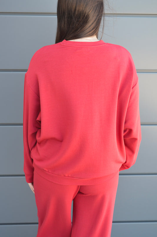 Chaser | Cornell Pullover Back